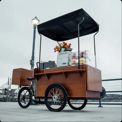 Ferla Bike